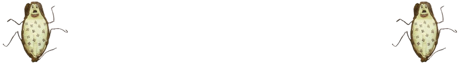 Top Banner